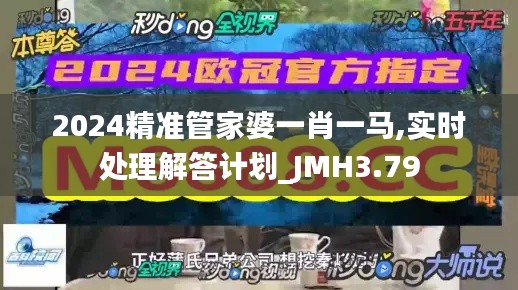 2024精准管家婆一肖一马,实时处理解答计划_JMH3.79