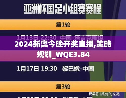 2024新奥今晚开奖直播,策略规划_WQE3.84