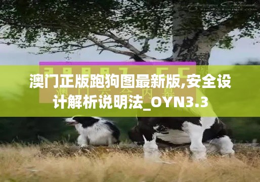 澳门正版跑狗图最新版,安全设计解析说明法_OYN3.3