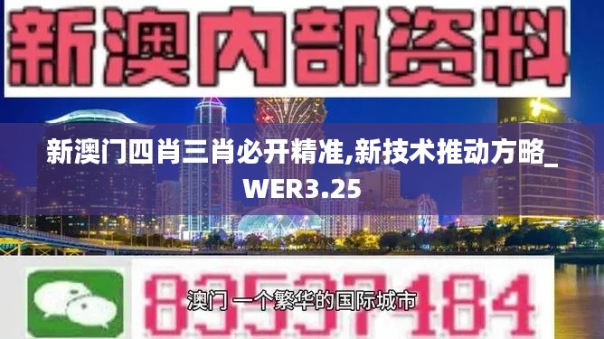 新澳门四肖三肖必开精准,新技术推动方略_WER3.25