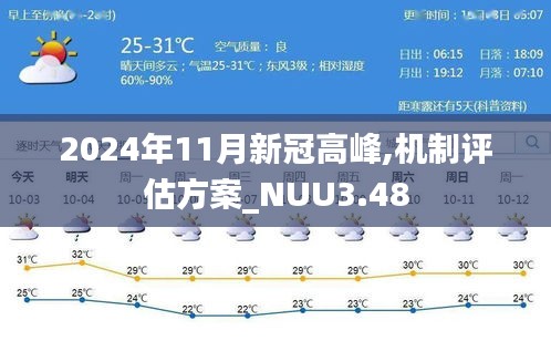 2024年11月新冠高峰,机制评估方案_NUU3.48