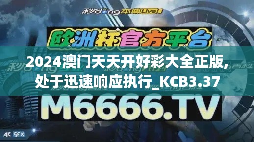 2024澳门天天开好彩大全正版,处于迅速响应执行_KCB3.37