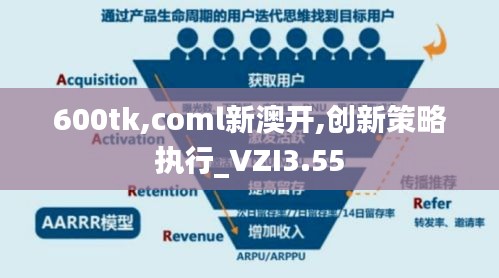 600tk,coml新澳开,创新策略执行_VZI3.55