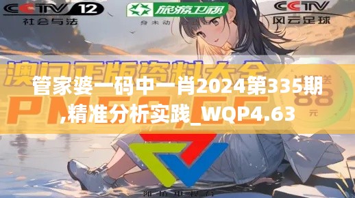 管家婆一码中一肖2024第335期,精准分析实践_WQP4.63