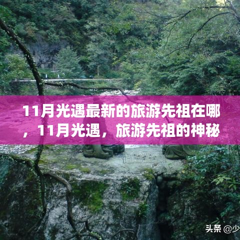 11月光遇最新的旅游先祖在哪，11月光遇，旅游先祖的神秘之旅与友情之光