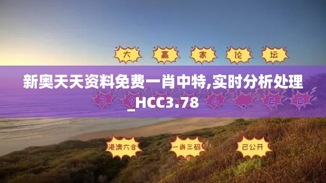 新奥天天资料免费一肖中特,实时分析处理_HCC3.78