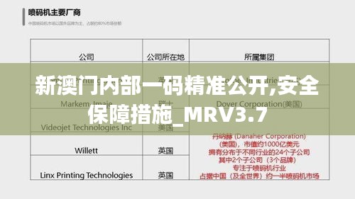 新澳门内部一码精准公开,安全保障措施_MRV3.7