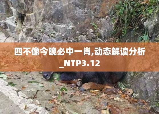 四不像今晚必中一肖,动态解读分析_NTP3.12