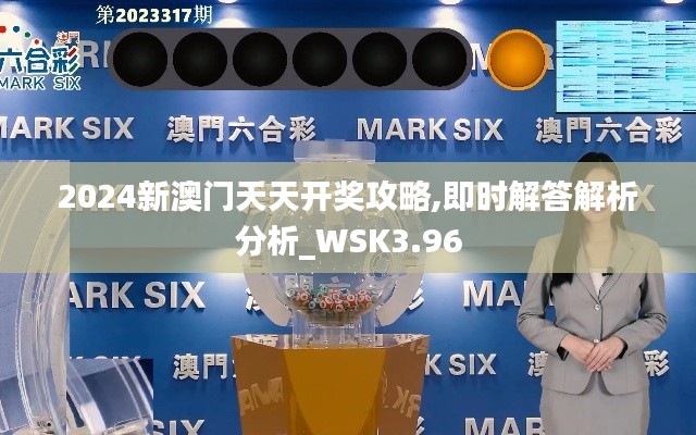 2024新澳门天天开奖攻略,即时解答解析分析_WSK3.96