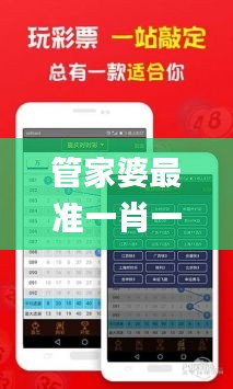 管家婆最准一肖一特331期,系统化措施落实评估_JEP3.64