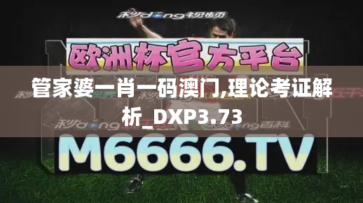 管家婆一肖一码澳门,理论考证解析_DXP3.73