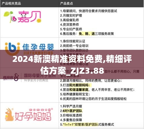 2024新澳精准资料免费,精细评估方案_ZJZ3.88