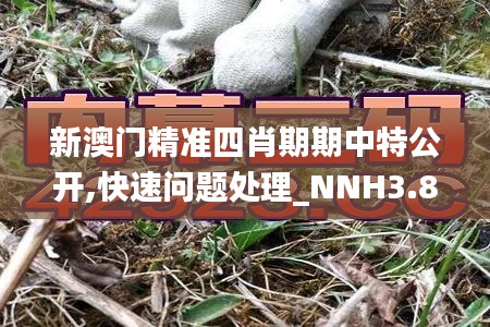 新澳门精准四肖期期中特公开,快速问题处理_NNH3.80