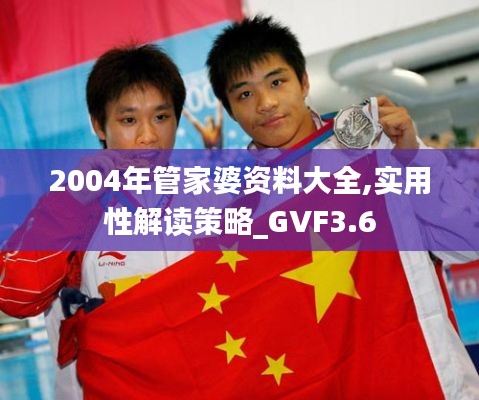 2004年管家婆资料大全,实用性解读策略_GVF3.6