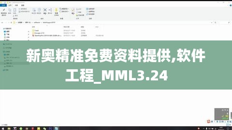 新奥精准免费资料提供,软件工程_MML3.24