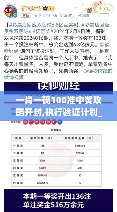 一肖一码100准中奖攻略开封,执行验证计划_SDB3.62