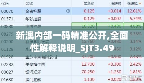 新澳内部一码精准公开,全面性解释说明_SJT3.49