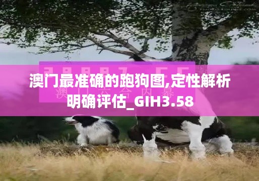 澳门最准确的跑狗图,定性解析明确评估_GIH3.58