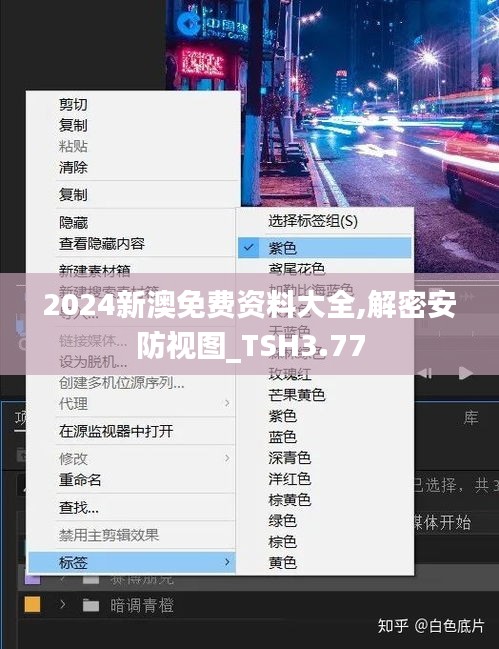 2024新澳免费资料大全,解密安防视图_TSH3.77