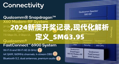 2024新澳开奖记录,现代化解析定义_SMG3.95