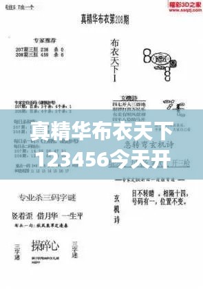 真精华布衣天下123456今天开奖号,全面实施策略设计_HQI3.55