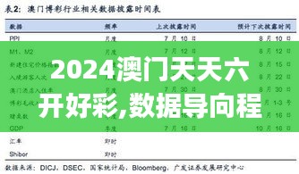 2024澳门天天六开好彩,数据导向程序解析_APD3.37