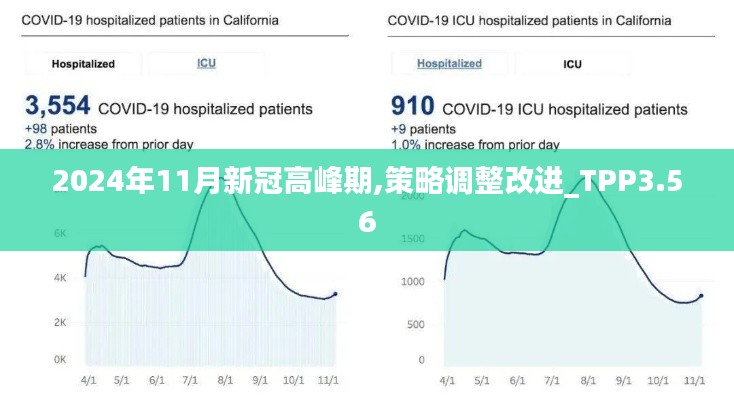 2024年11月新冠高峰期,策略调整改进_TPP3.56