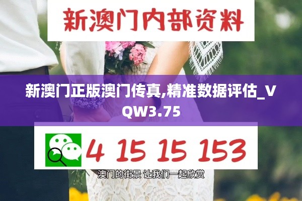 新澳门正版澳门传真,精准数据评估_VQW3.75