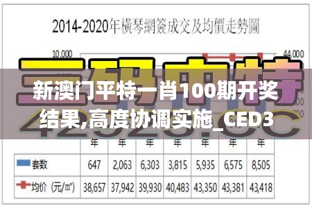 新澳门平特一肖100期开奖结果,高度协调实施_CED3.29