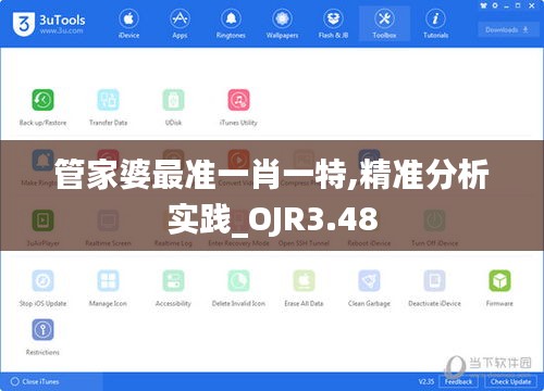 管家婆最准一肖一特,精准分析实践_OJR3.48