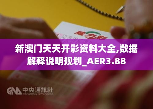 新澳门天天开彩资料大全,数据解释说明规划_AER3.88