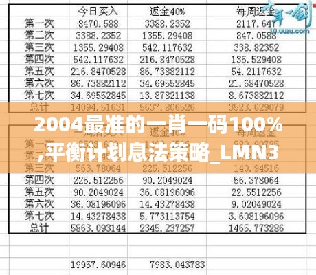 2004最准的一肖一码100%,平衡计划息法策略_LMN3.84