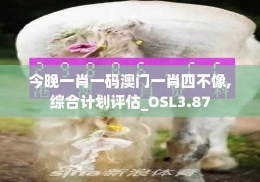 今晚一肖一码澳门一肖四不像,综合计划评估_OSL3.87