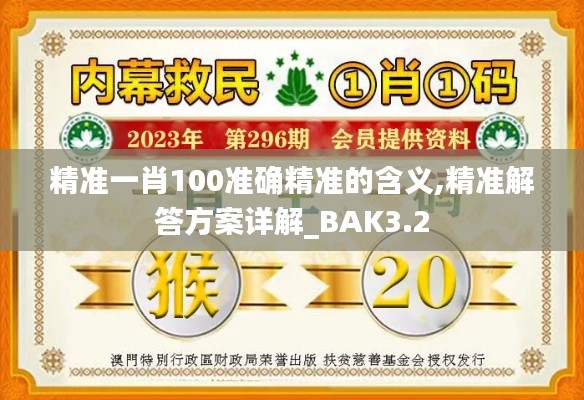 精准一肖100准确精准的含义,精准解答方案详解_BAK3.2