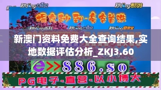 新澳门资料免费大全查询结果,实地数据评估分析_ZKJ3.60