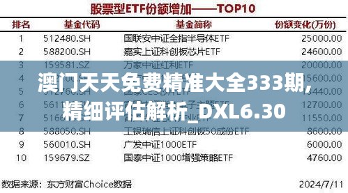 澳门天天免费精准大全333期,精细评估解析_DXL6.30