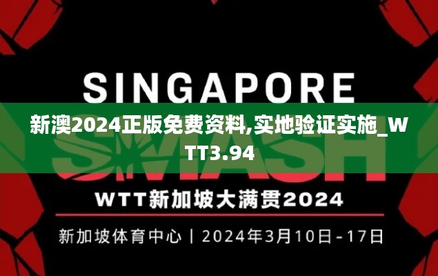 新澳2024正版免费资料,实地验证实施_WTT3.94