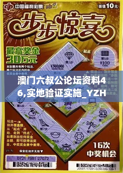 澳门六叔公论坛资料46,实地验证实施_YZH3.66