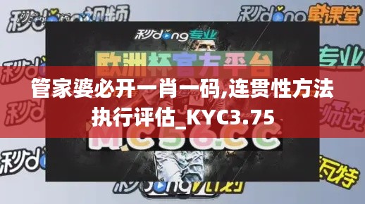 管家婆必开一肖一码,连贯性方法执行评估_KYC3.75