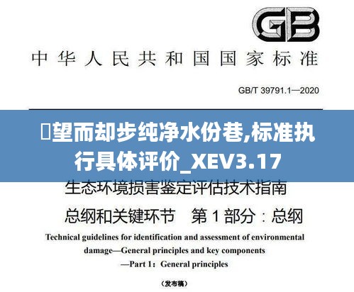 點望而却步纯净水份巷,标准执行具体评价_XEV3.17