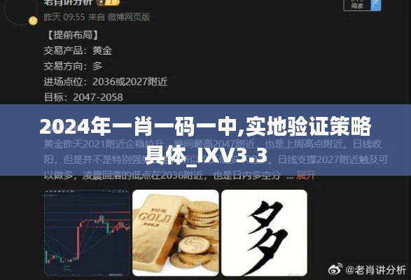 2024年一肖一码一中,实地验证策略具体_IXV3.3