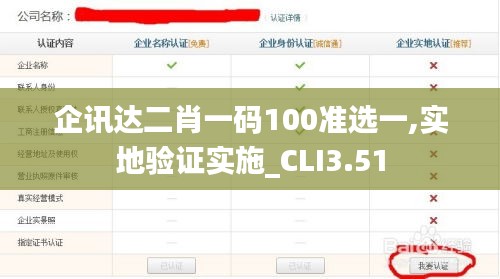 企讯达二肖一码100准选一,实地验证实施_CLI3.51