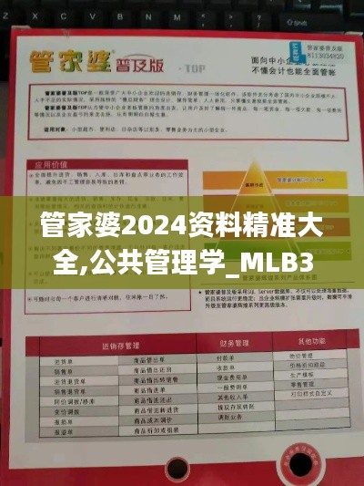 管家婆2024资料精准大全,公共管理学_MLB3.15