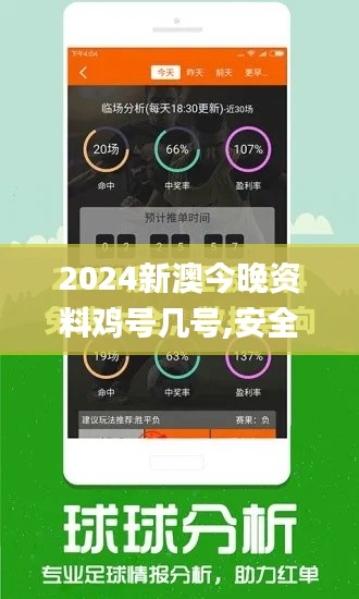 2024新澳今晚资料鸡号几号,安全设计解析说明法_LEI3.95