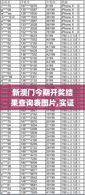 新澳门今期开奖结果查询表图片,实证数据分析_MDZ3.28