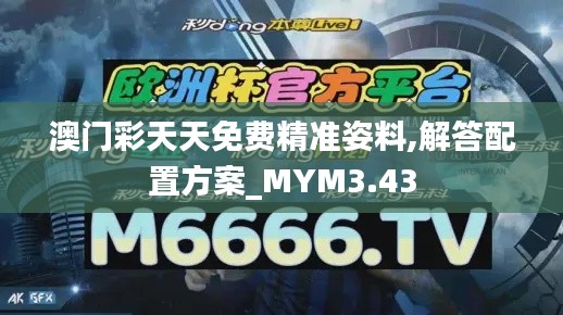 澳门彩天天免费精准姿料,解答配置方案_MYM3.43