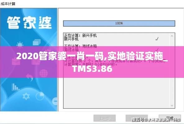 2020管家婆一肖一码,实地验证实施_TMS3.86