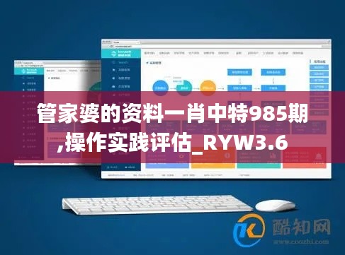 管家婆的资料一肖中特985期,操作实践评估_RYW3.6