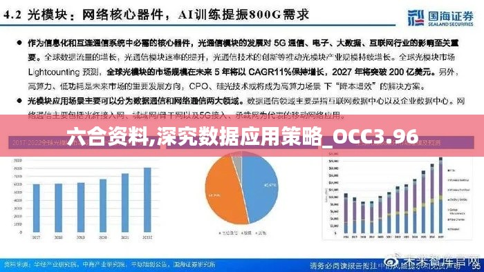 六合资料,深究数据应用策略_OCC3.96