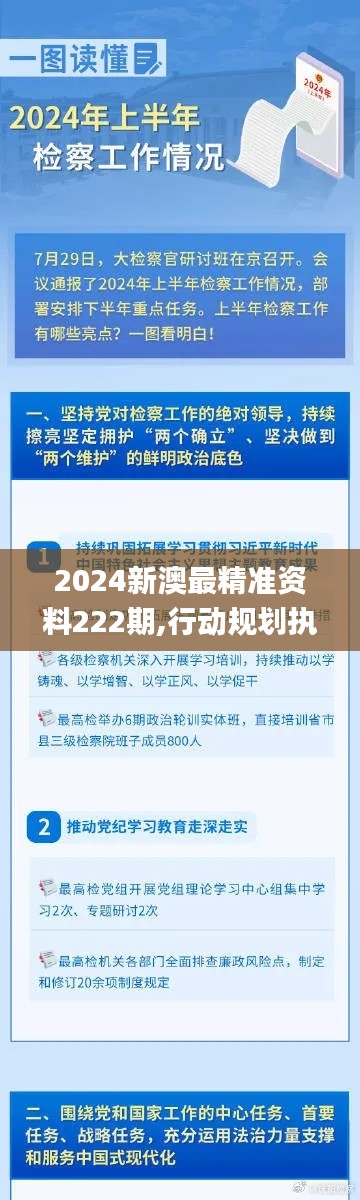 2024新澳最精准资料222期,行动规划执行_AOE3.30